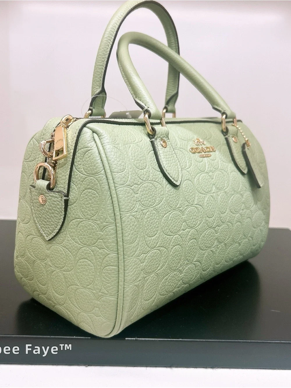 NWT Coach Rowan Satchel Bag In Signature Leather CEW03 Gold/Pistachio